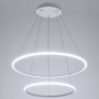 Подвесной светодиодный светильник Arte Lamp A2500SP-2WH